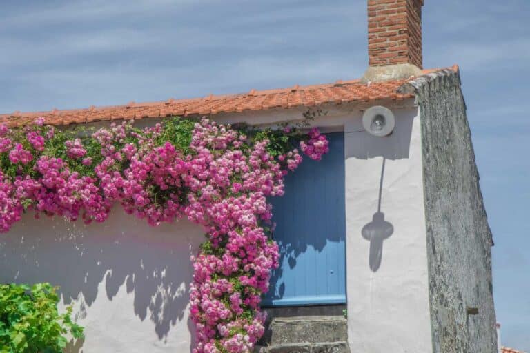 comment choisir le meilleur constructeur en vendee pour reussir votre projet immobilier en 2026 1