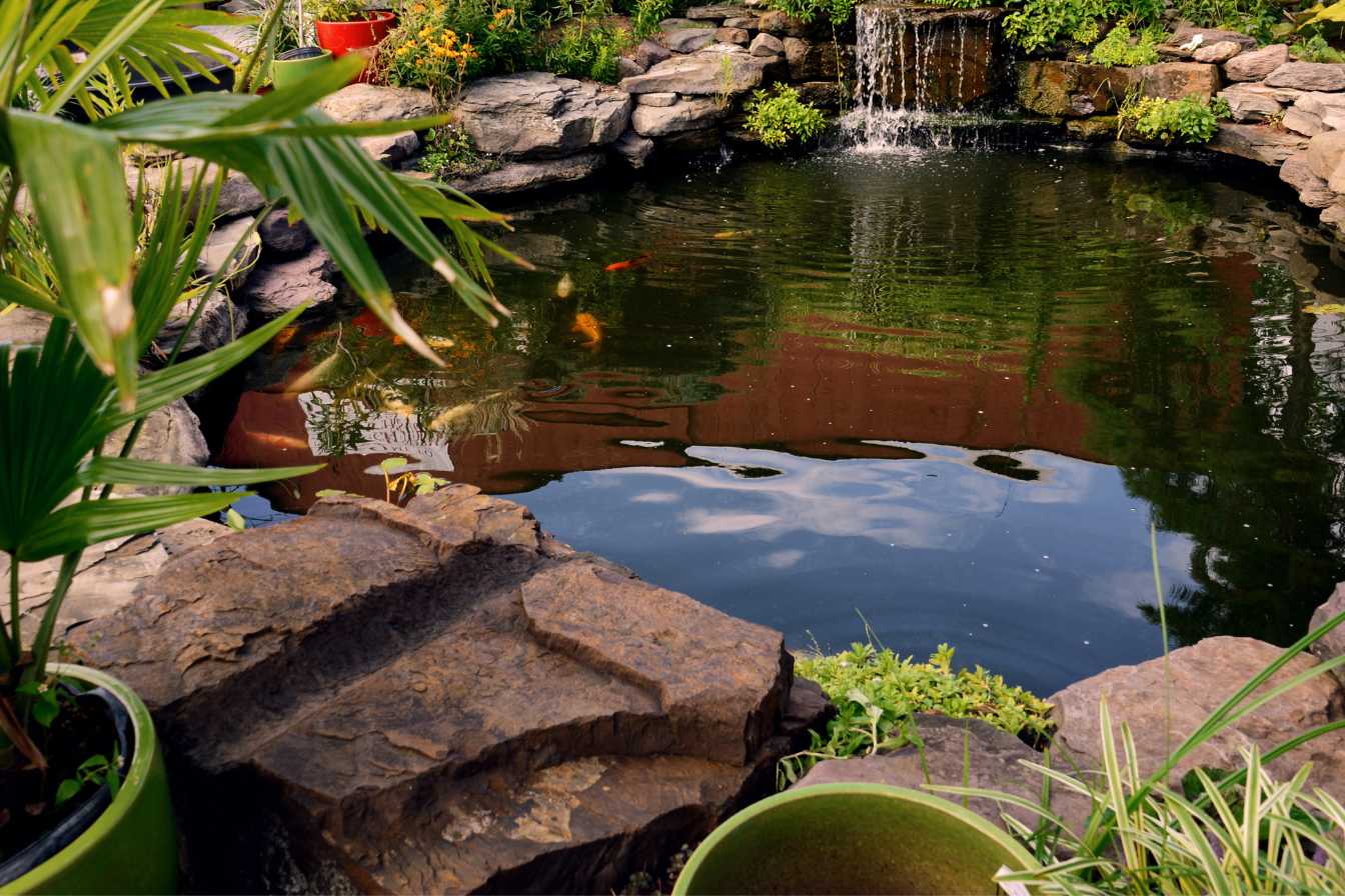 location-chalet-avec-etang-peche-prive-2