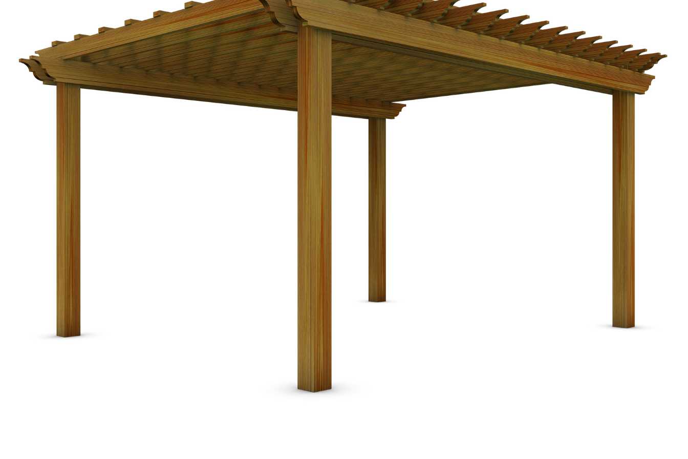 pergola-kiwi-2